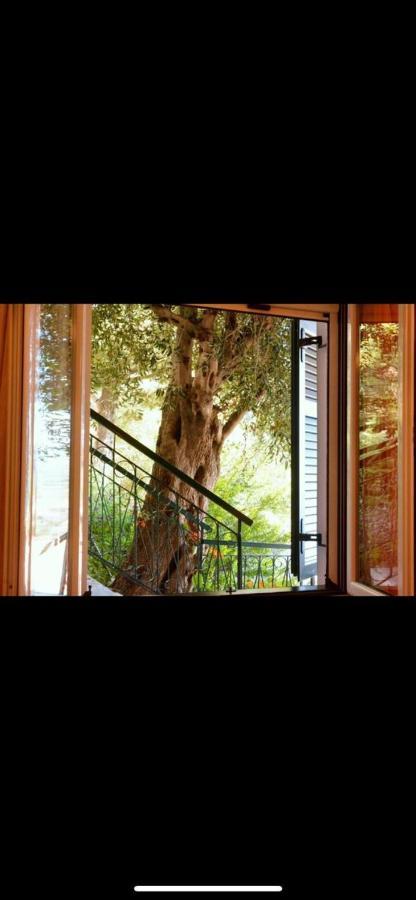 Glyfada Villa View 格利法达 外观 照片
